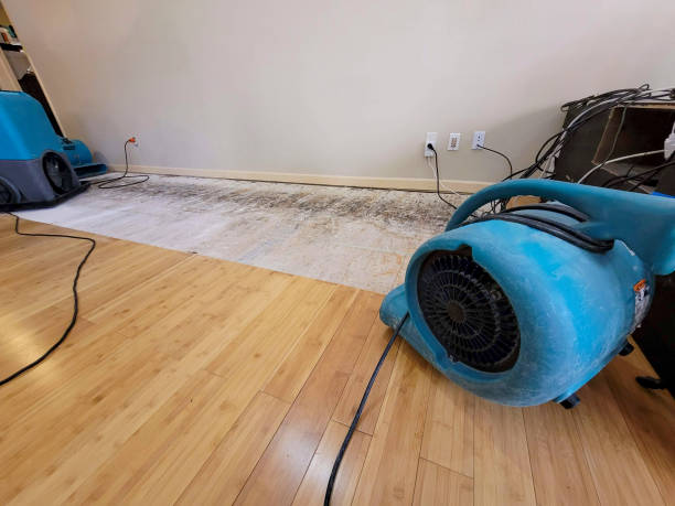 Professional Water Extraction technician working in Bagdad, AZ